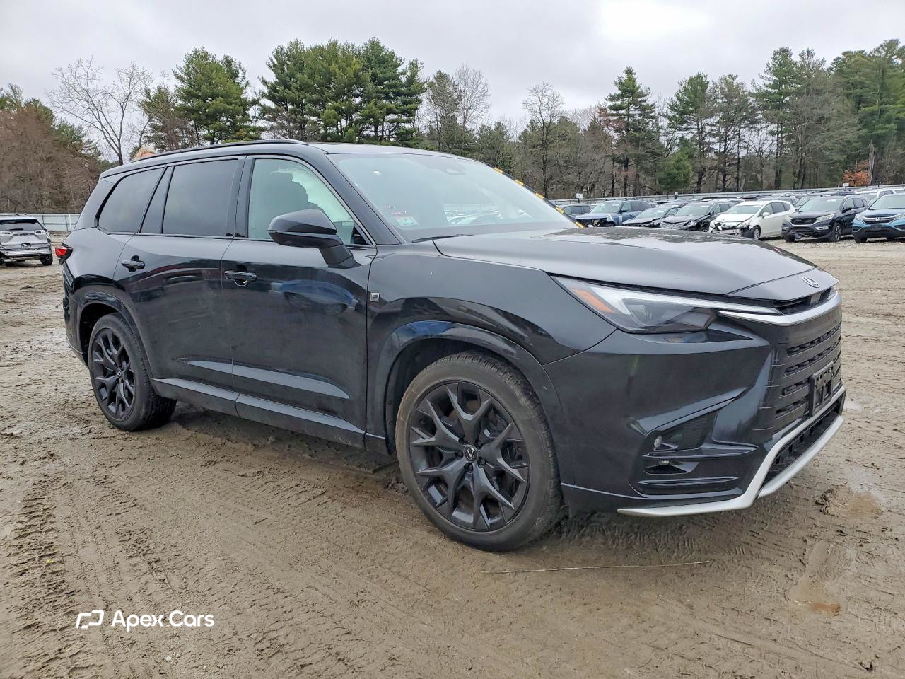 Lexus TX 2024
