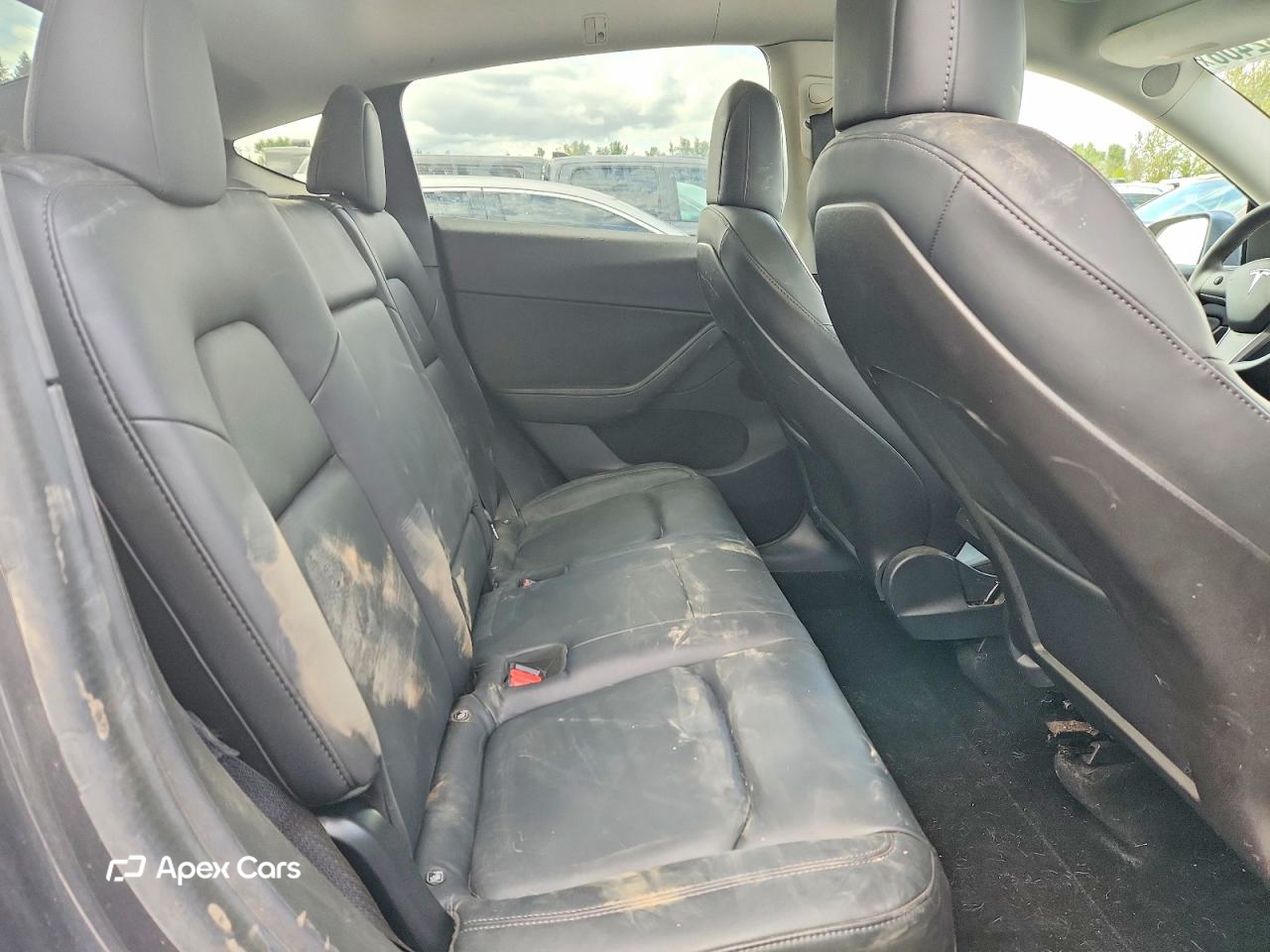 Tesla Model Y 2020