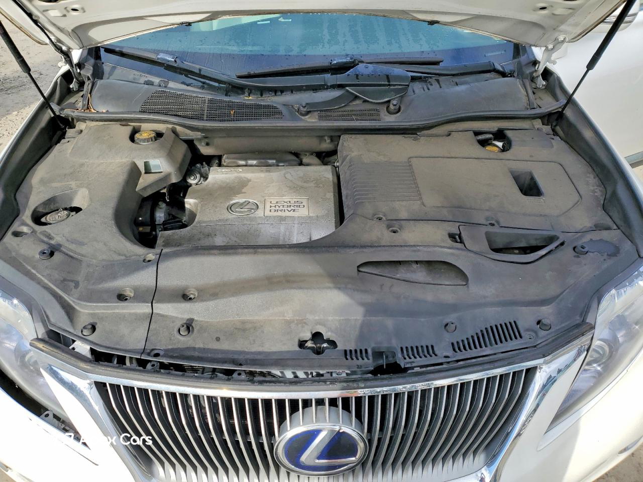 Lexus RX 2011