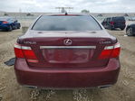 Lexus LS 2007