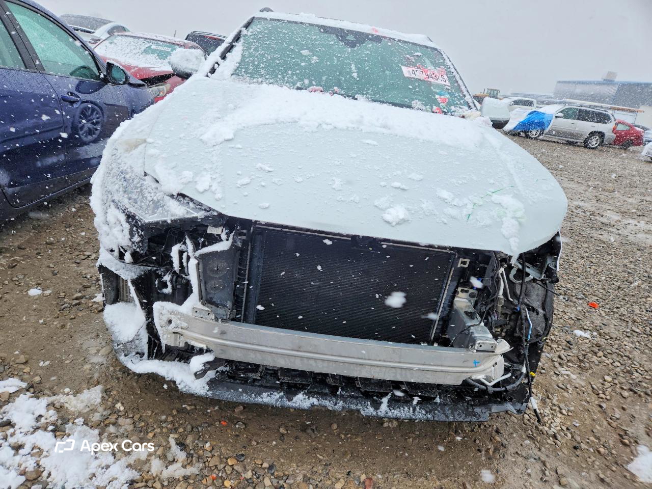 Audi Q8 2019
