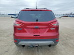 Ford Escape 2013