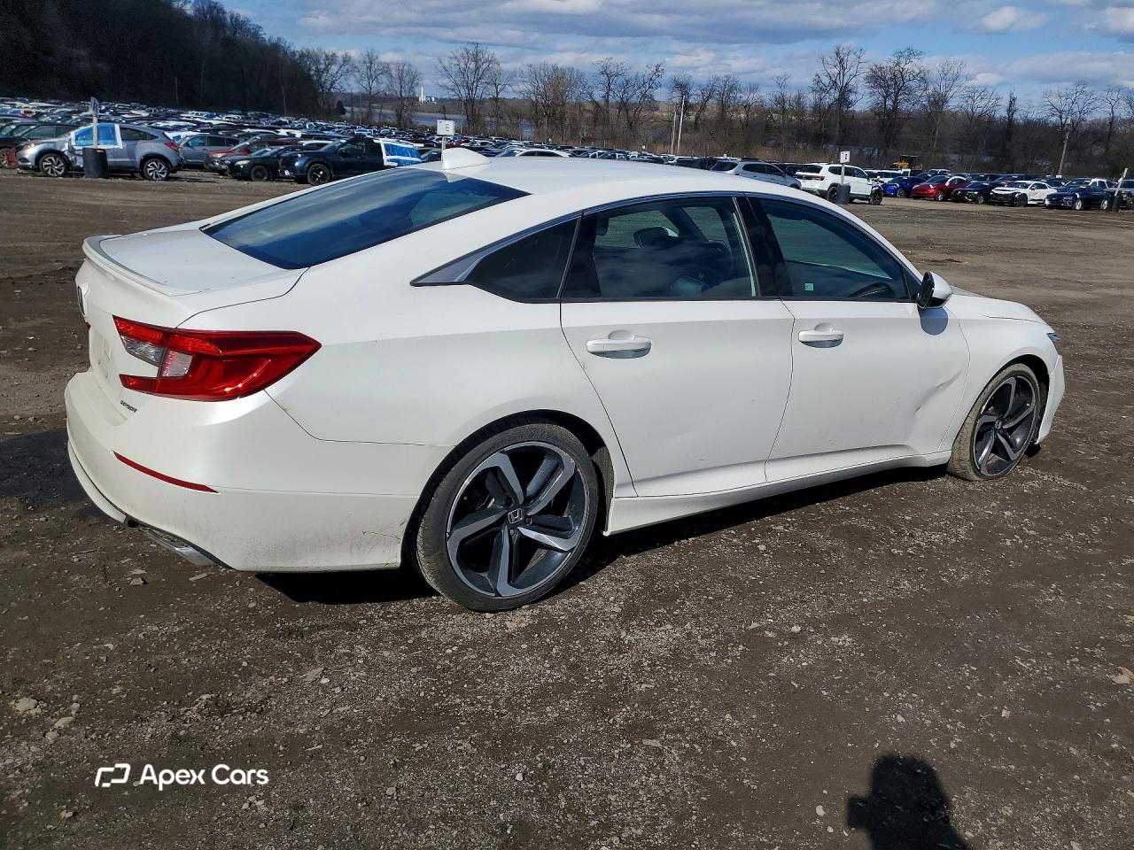Honda Accord 2019