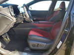 Lexus RX 2024
