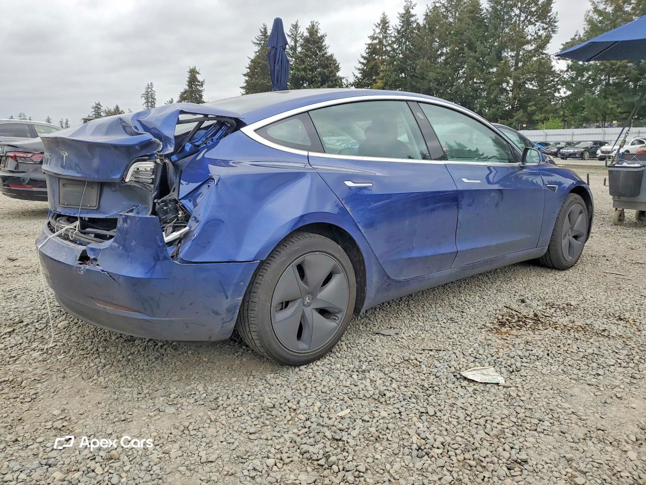 Tesla Model 3 2020