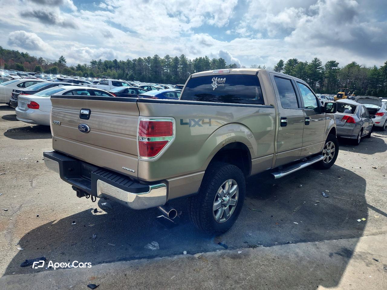Ford F-150 2013