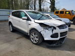Ford Escape 2013