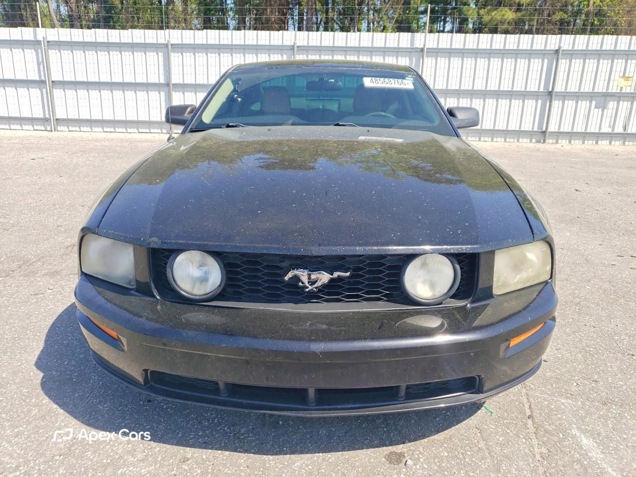 Ford Mustang 2005