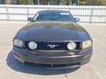Ford Mustang 2005
