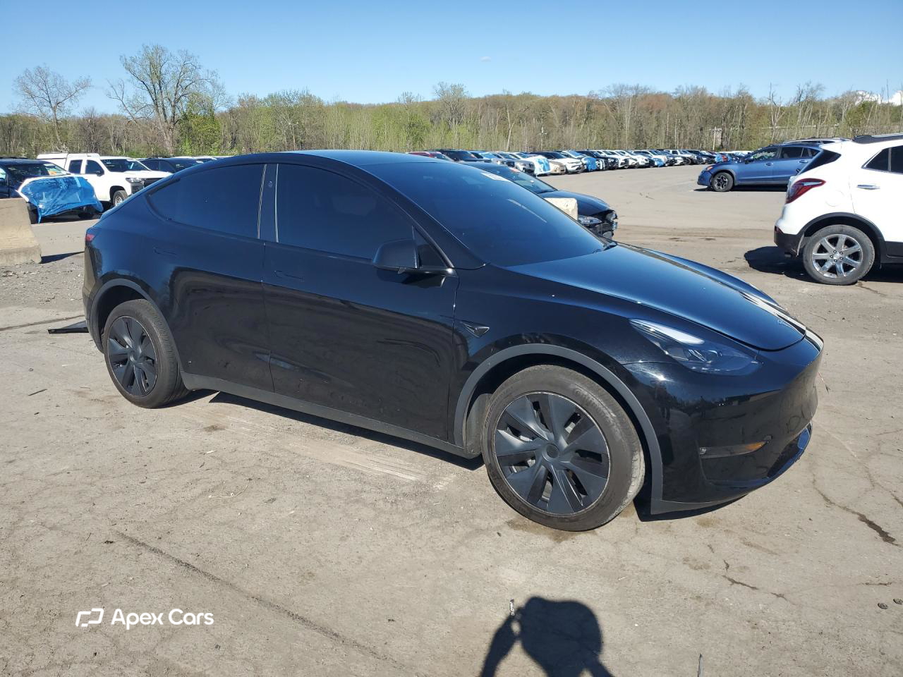 Tesla Model Y 2024