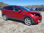 Ford Escape 2016