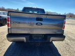 Ford F-150 2013