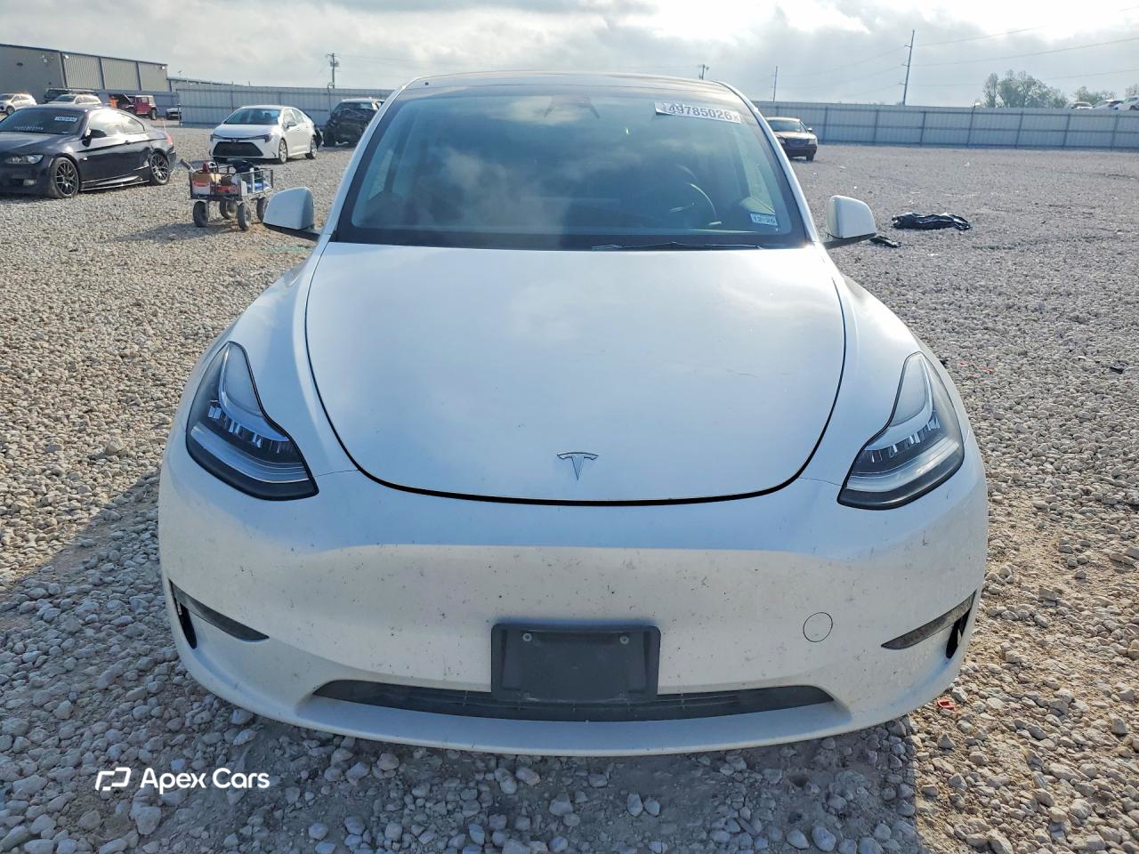 Tesla Model Y 2023