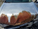 Honda Accord 2010