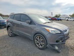 Ford Escape 2013