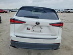 Lexus NX 2019