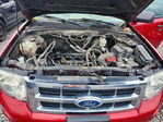 Ford Escape 2011