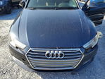 Audi A4 2017