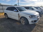 Audi SQ5 2015