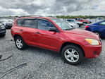Toyota RAV 4 2010