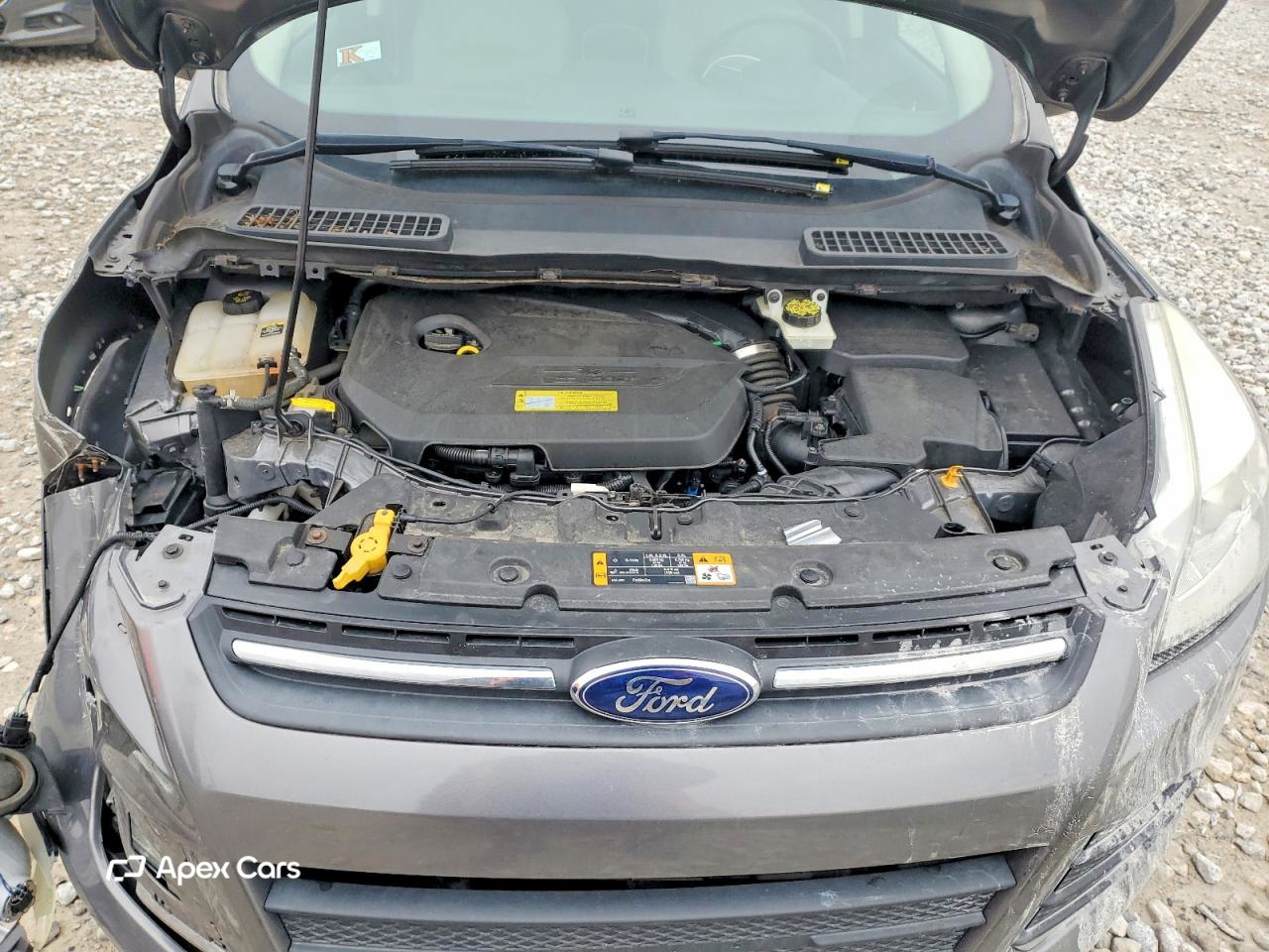 Ford Escape 2013