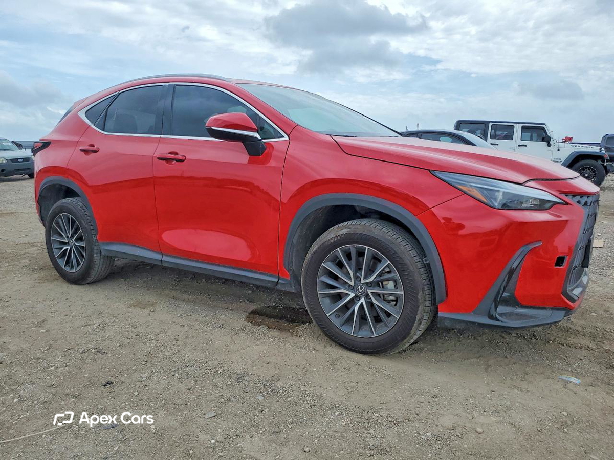 Lexus NX 2024