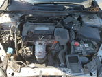 Honda Accord 2013