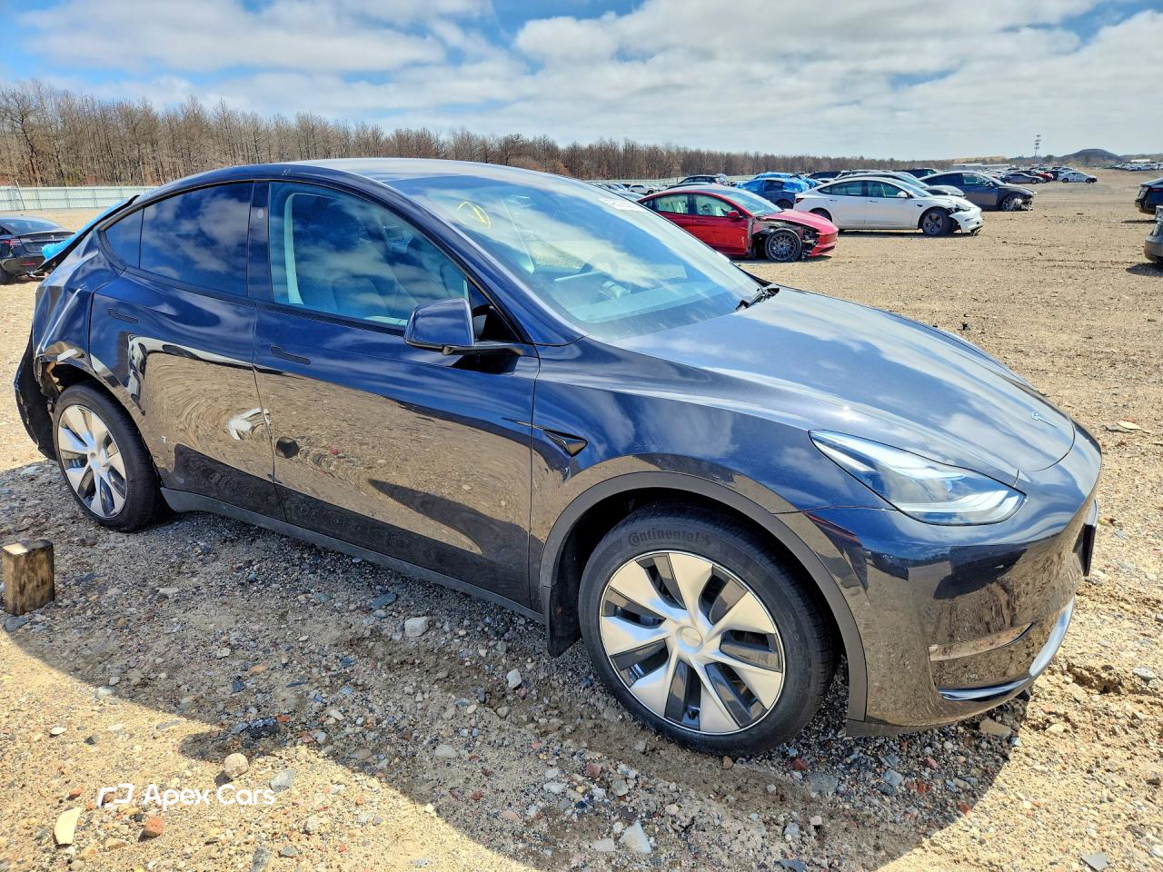 Tesla Model Y 2024
