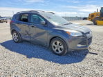 Ford Escape 2015