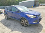 Ford Escape 2013