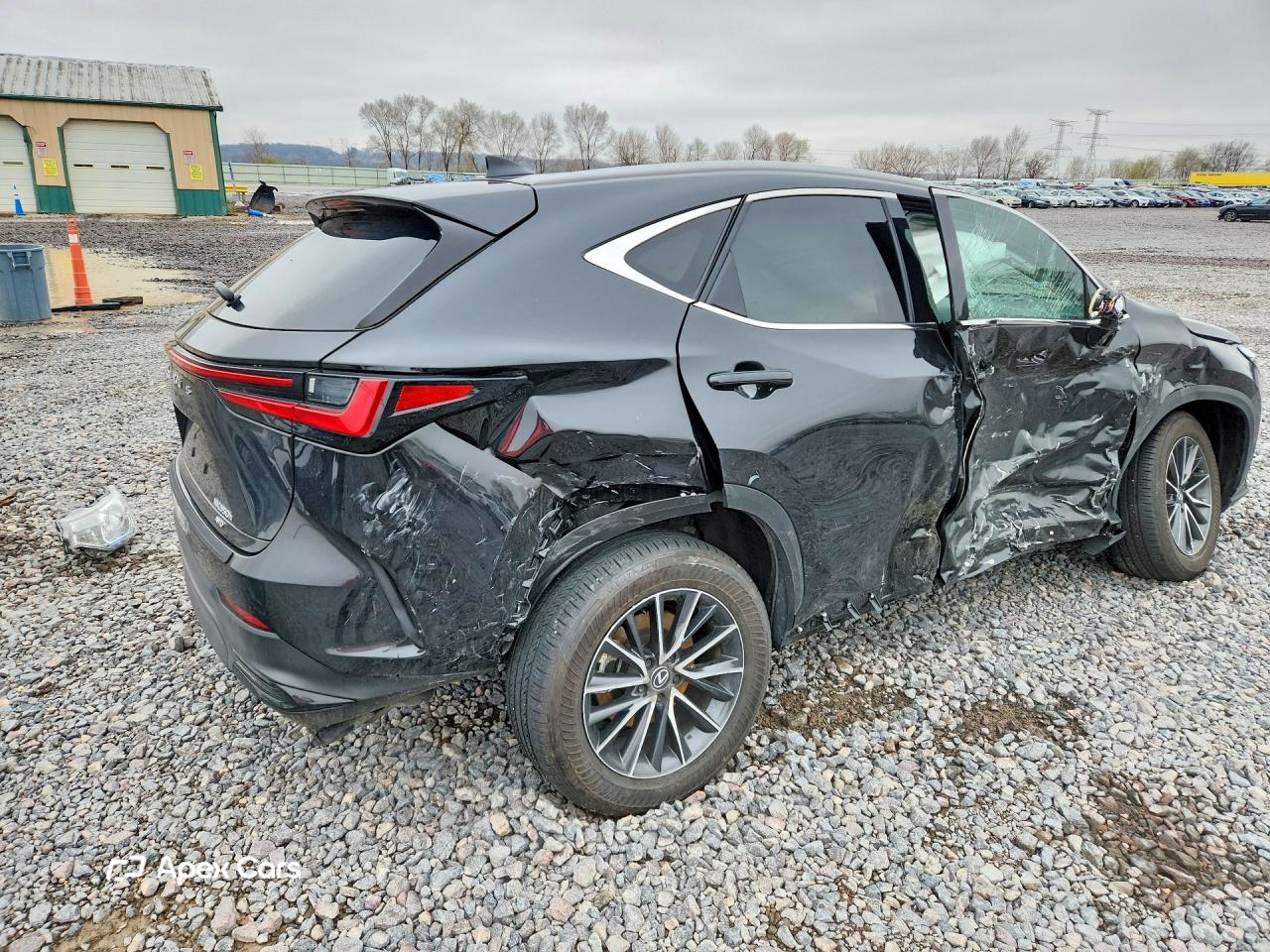 Lexus NX 2024