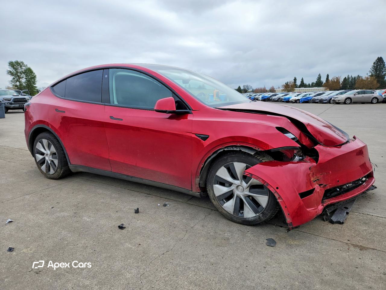 Tesla Model Y 2021