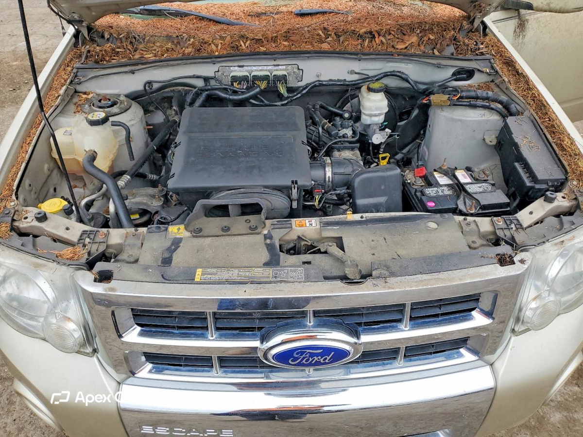 Ford Escape 2011