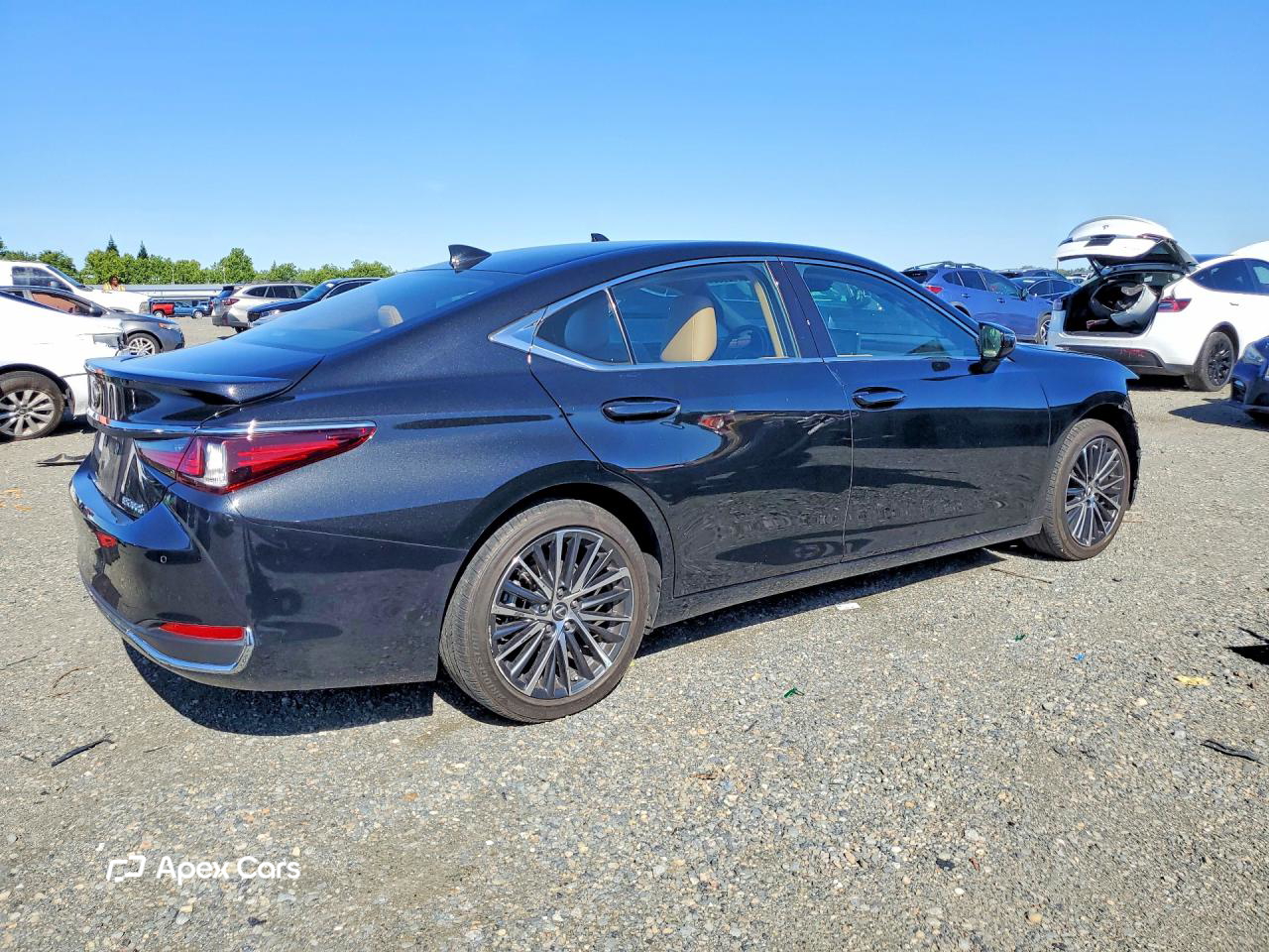 Lexus ES 2024