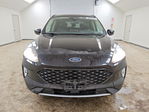 Ford Escape 2020