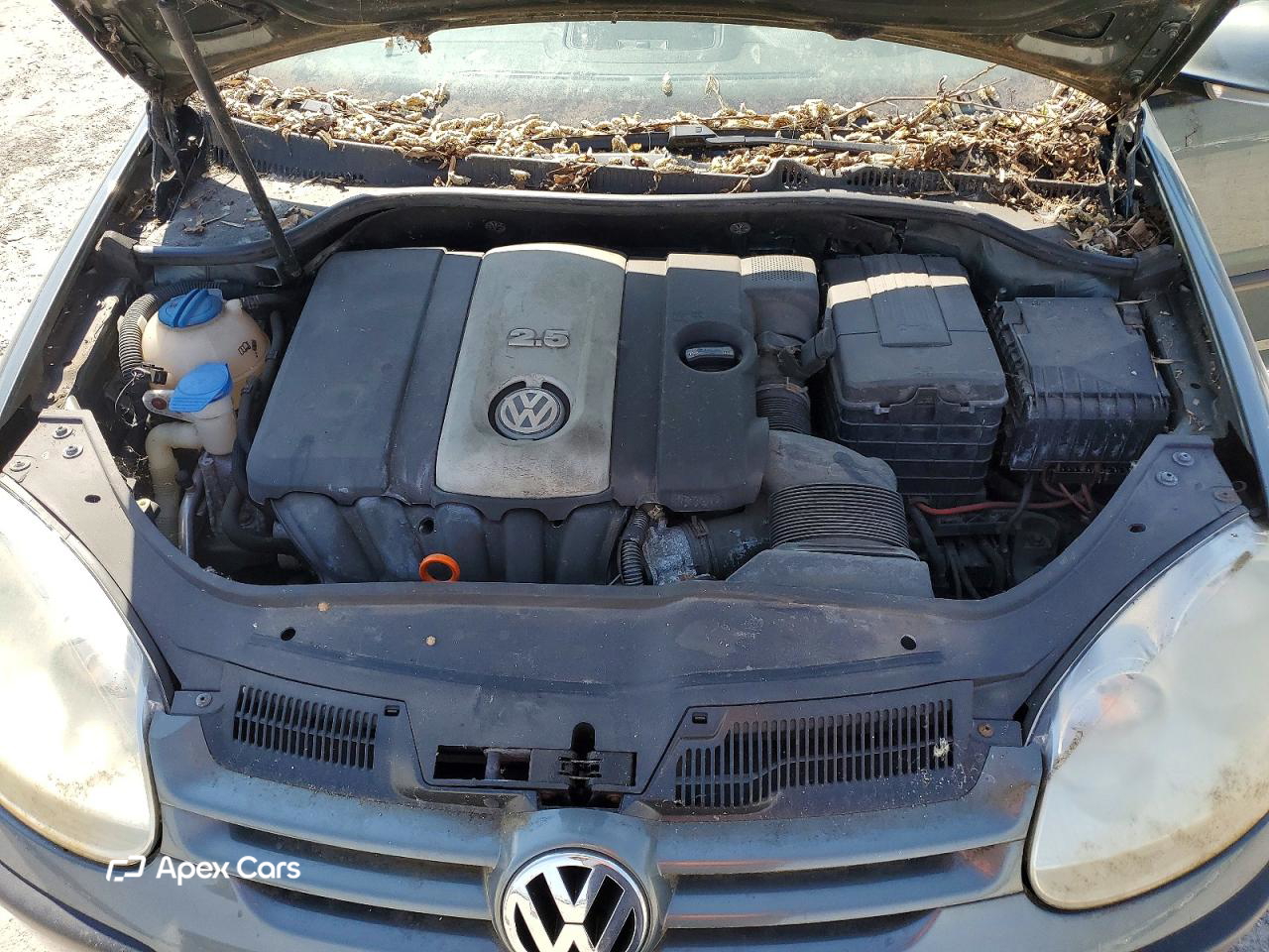 Volkswagen Golf 2008