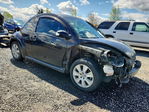Volkswagen Beetle 2008