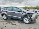 Ford Escape 2013