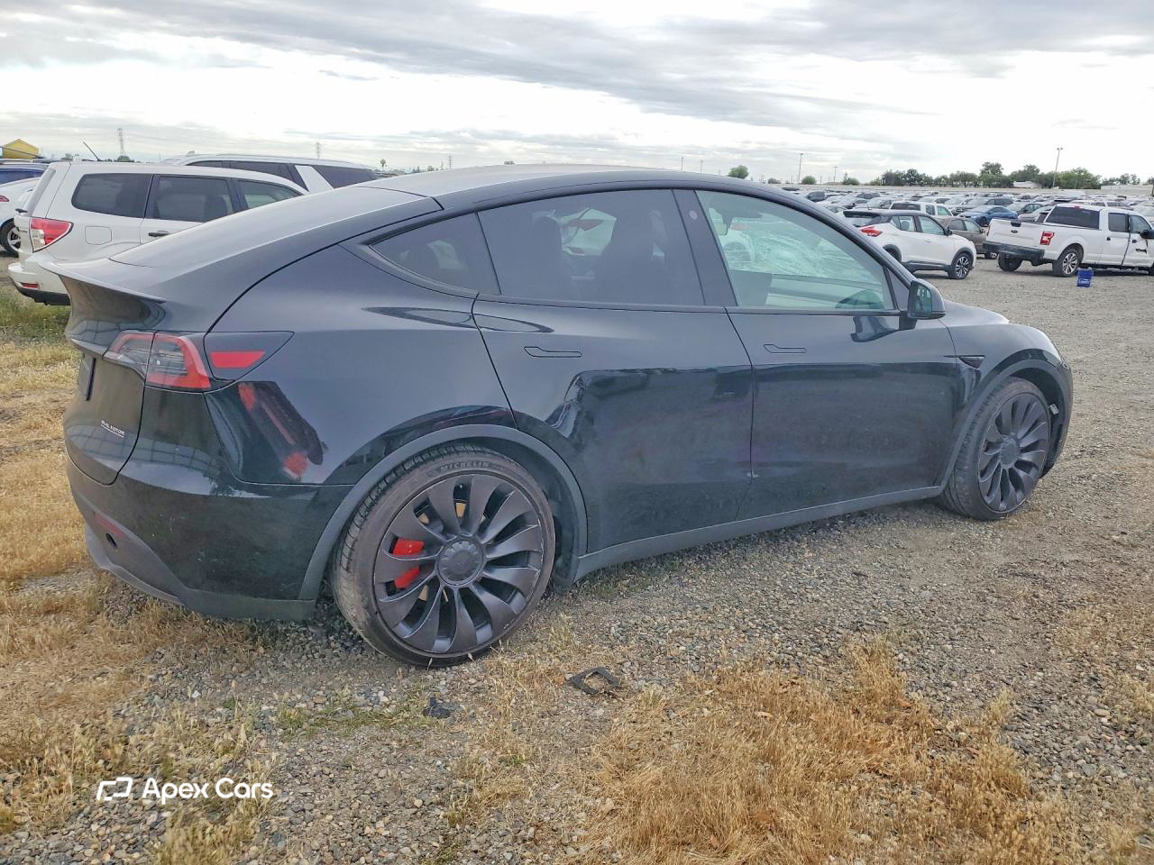 Tesla Model Y 2023