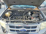 Ford Escape 2012