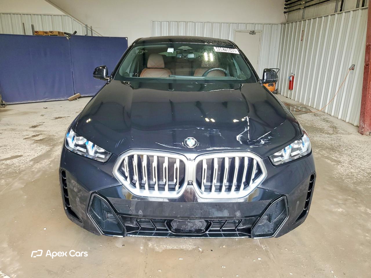 BMW X6 2025