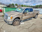Ford F-150 2013
