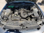 Ford Mustang 2008
