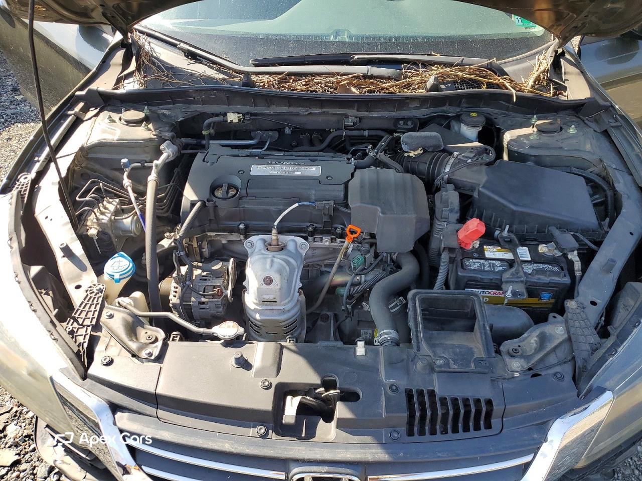 Honda Accord 2013