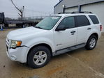 Ford Escape 2010