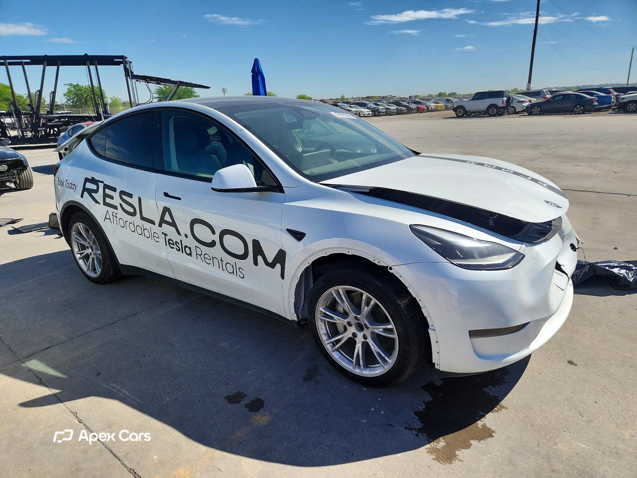 Tesla Model Y 2024