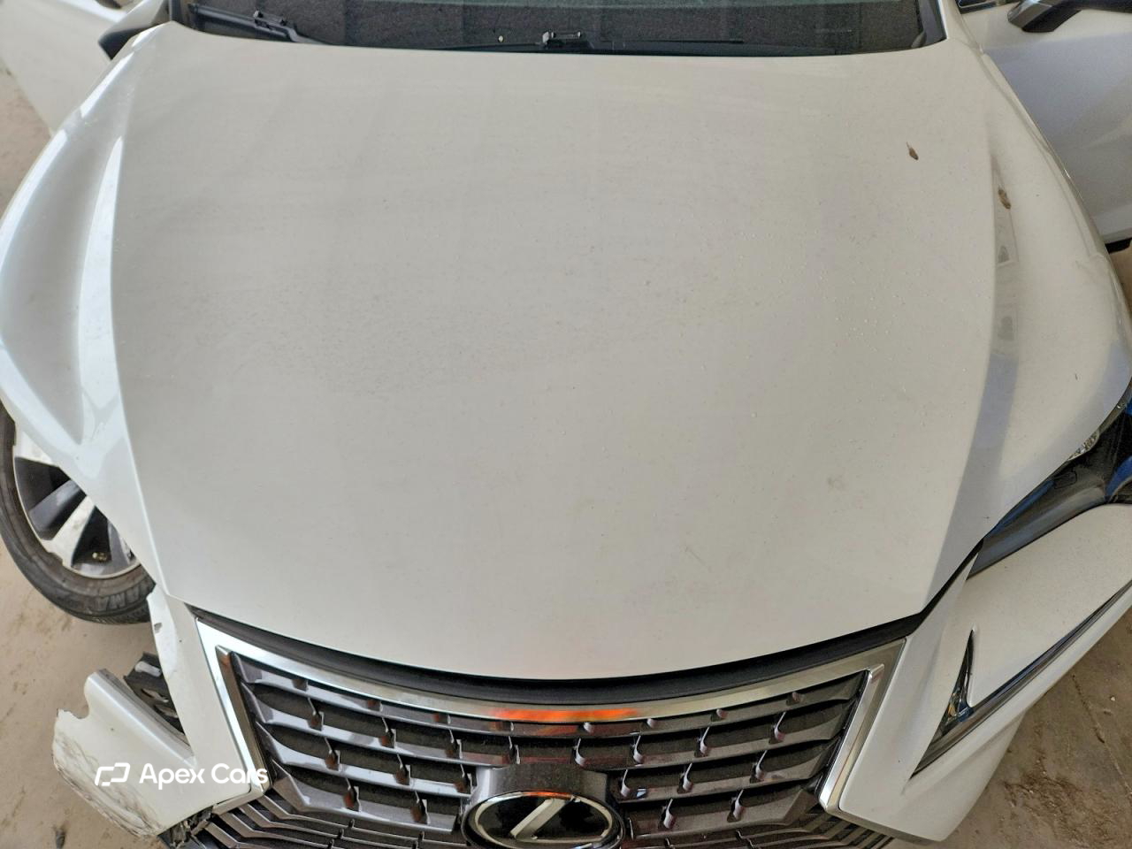 Lexus NX 2021