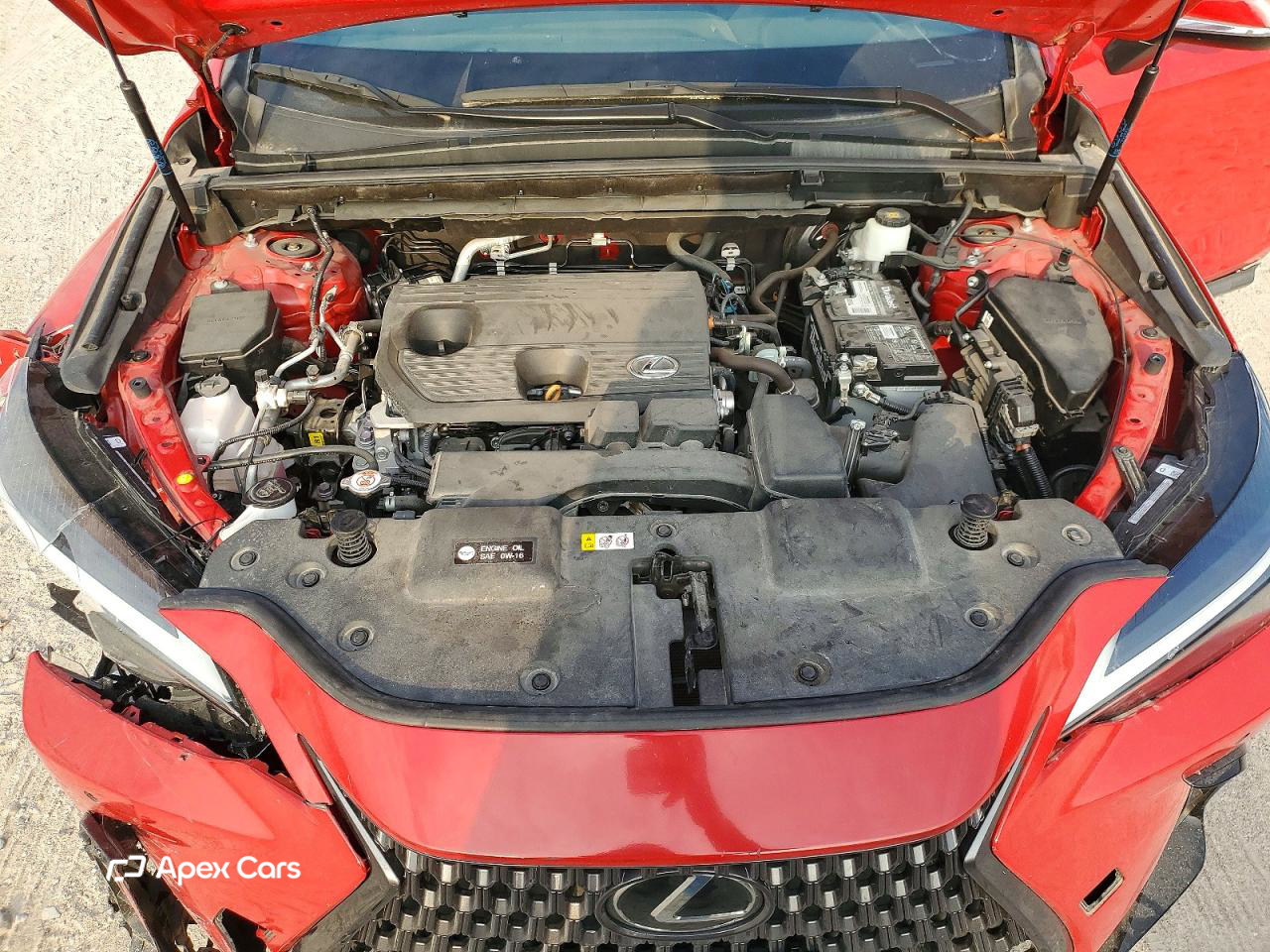 Lexus NX 2024