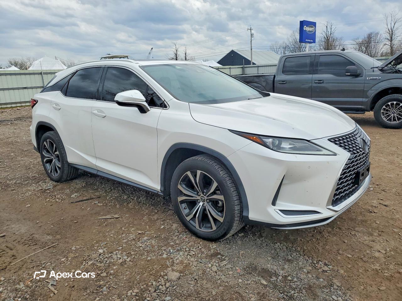 Lexus RX 2021