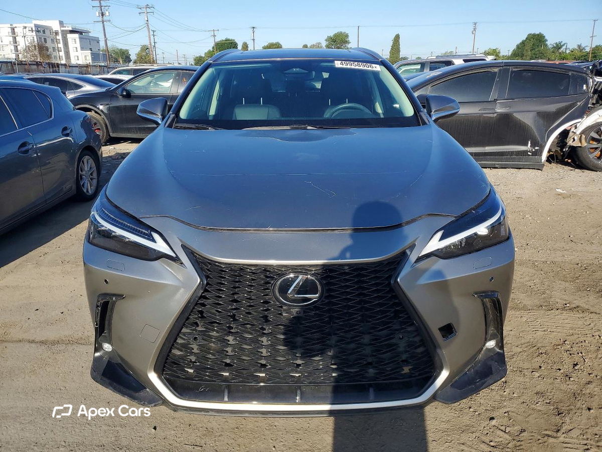 Lexus NX 2024